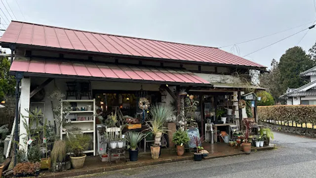 Flower and cafe 花空間 ivory