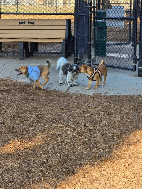 Modesto's First Dog Park