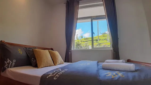 Flamingo's Nuwara Eliya