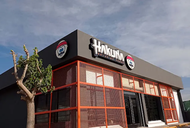 Hakuna bolas de arroz Fuerza Aerea