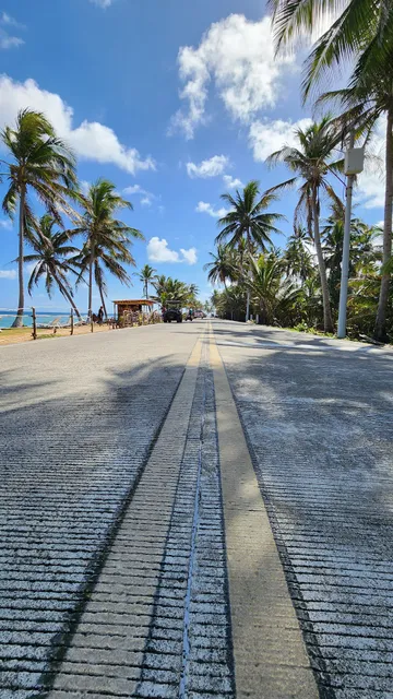 Calle de las Palmeras