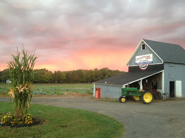 Cecarelli Farms