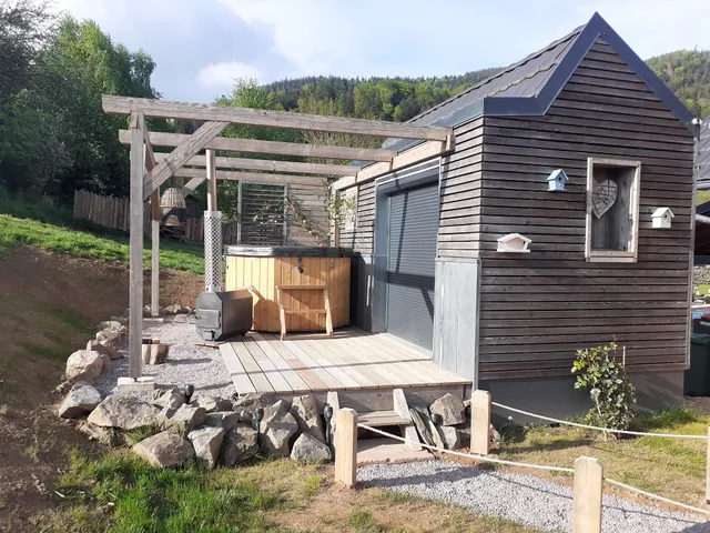 Le champ des oiseaux