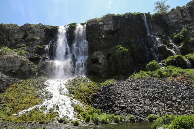 Thousand Springs Preserve