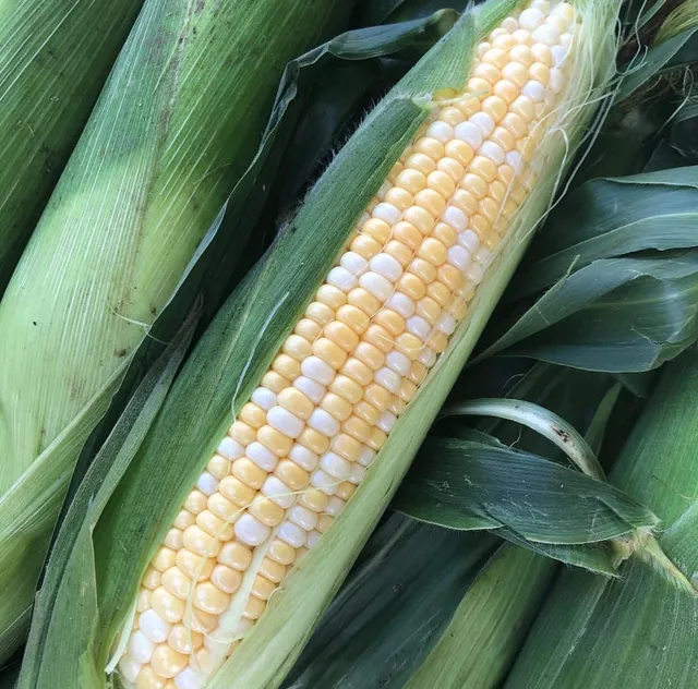 Johnson's Farm Ice Cream and Produce Stand
