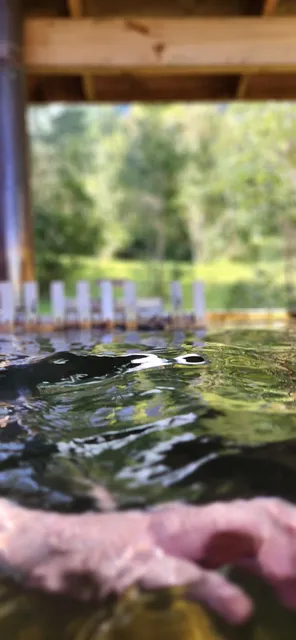 Refugio Quiman - Lago Ranco