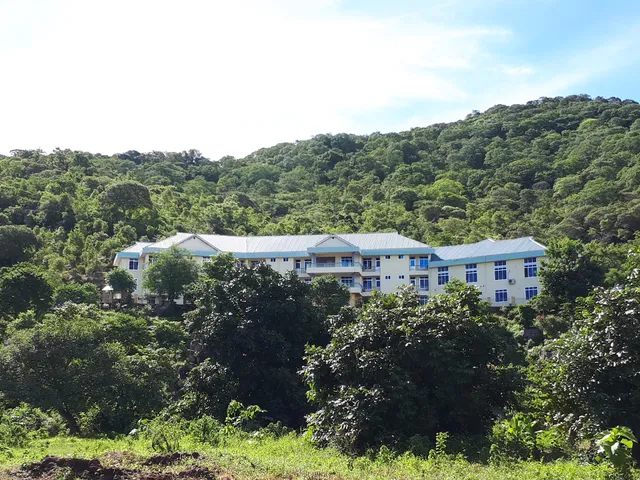 St. Bernadetha Sisters