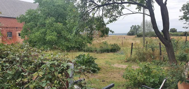 Ferienwohnungen Schwalbenhof