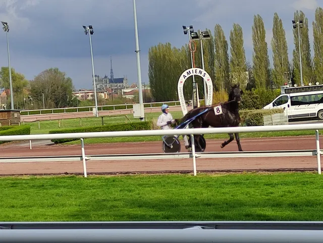 Society of Amiens Races