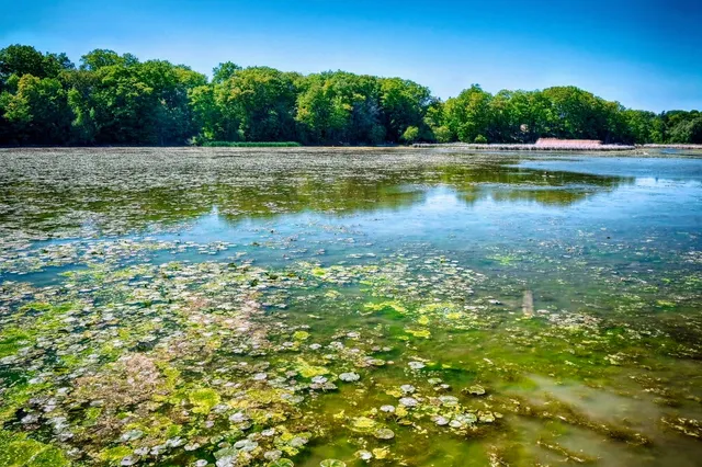 Parking Lot - Rouge National Urban Park