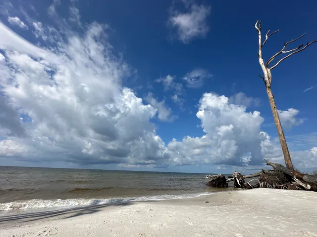 Old Cape San Blas Lighthouse Site