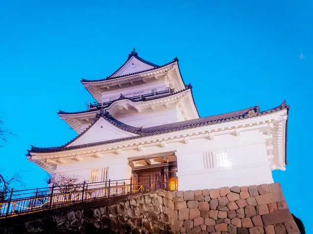 Toyoko Inn Odawara Station East Exit