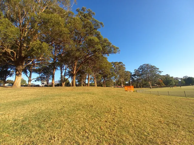 Alfred Henry Whaling Memorial Reserve