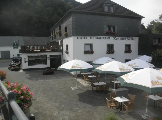 Hotel Zur alten Mühle