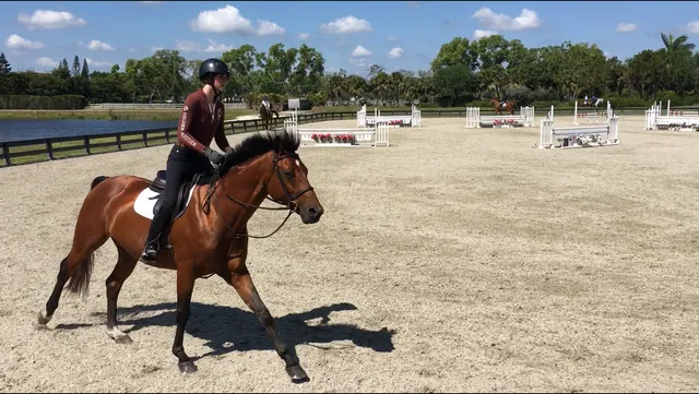 Higher Altitude Equestrians