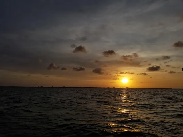 The Local Eatery & Catering