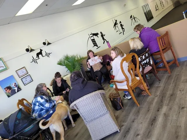 Dog Agility and Cafe