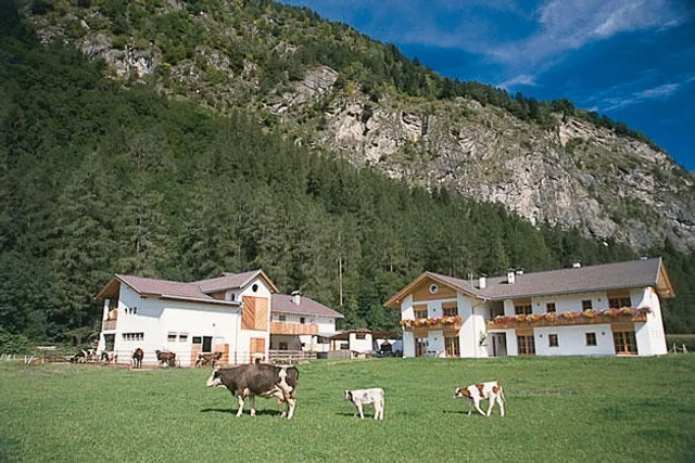 Peintenhof | Urlaub auf dem Bauernhof