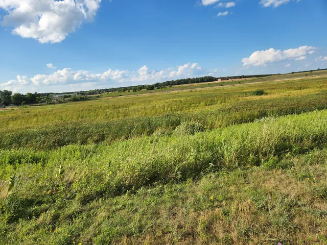 Chippewa Falls Happy Tails Dog Park