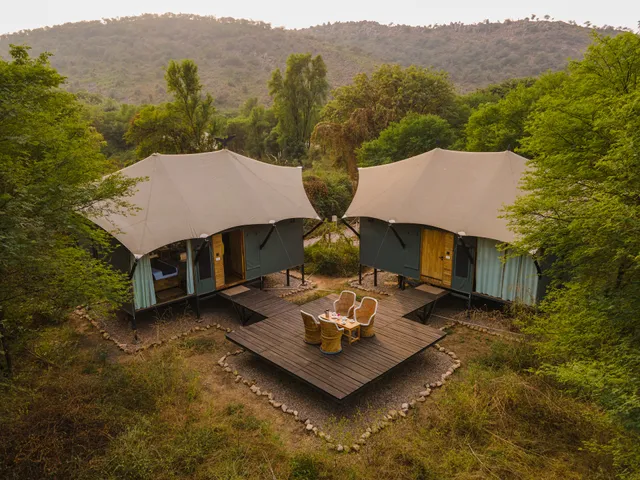 Trees N Tigers Sariska