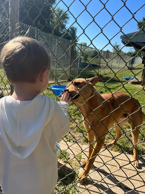 Leitchfield Animal Shelter
