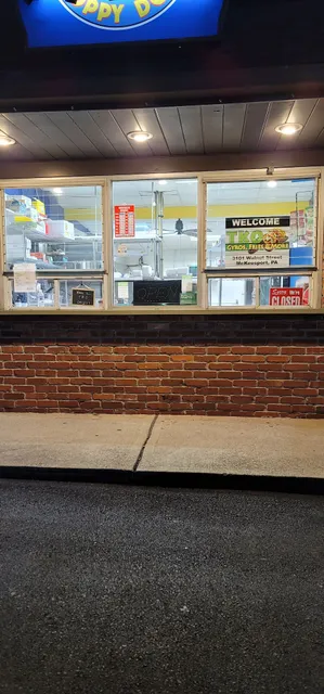 TKO gyros fries and more