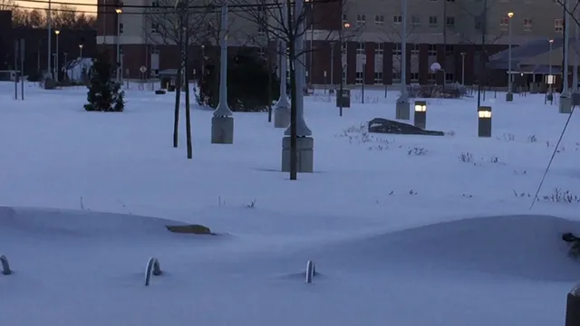 Bronx Psychiatric Center