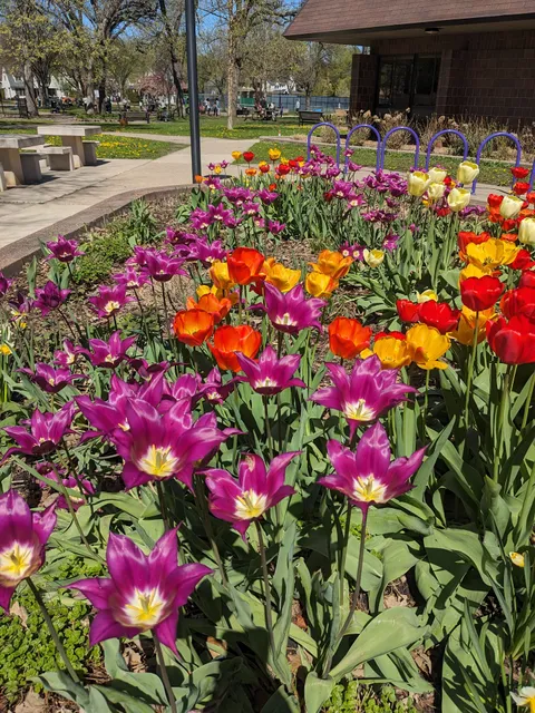 Linden Hills Recreation Center