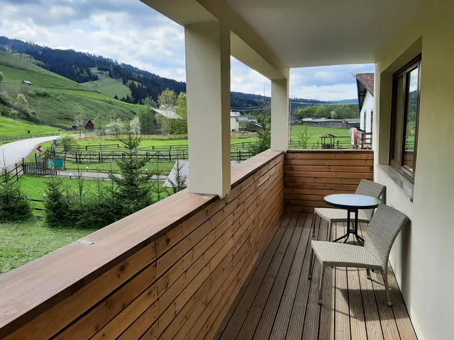 Casa de vacanta Saru Dornei