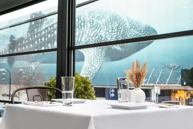 The Terrace at Suite Lounge