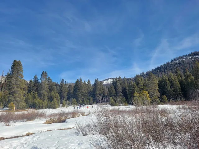Wolverton Snowplay Area