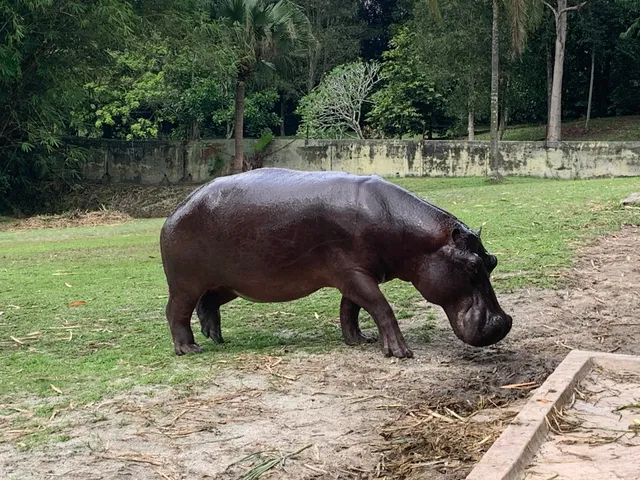 Paya Indah Discovery Wetlands (Gate 2)