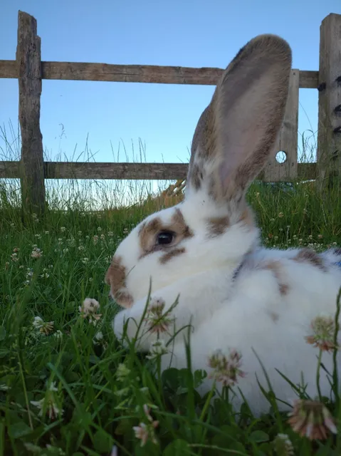 Ferienbauernhof Joost
