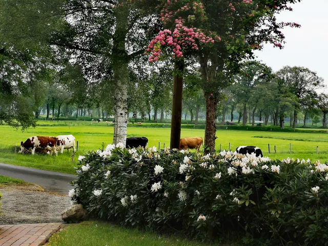 Ferienwohnung Up Hobarg