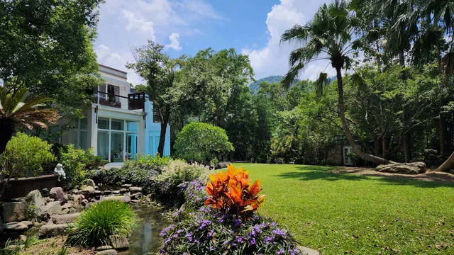 Around theTree 八角居所