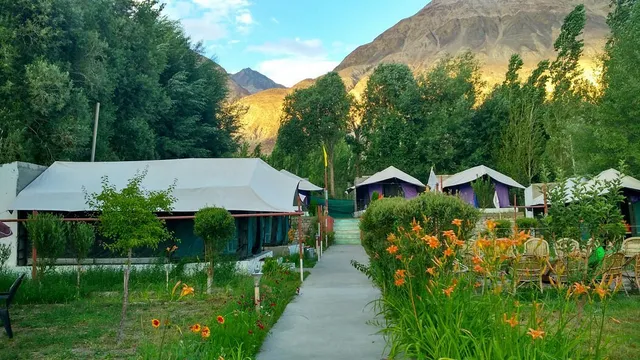 Valley Flower Camp