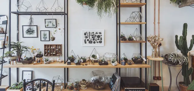 Müz Botanik & Kahve