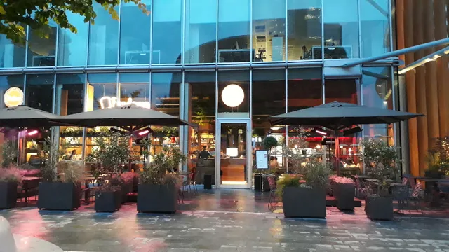 Pandenus Gae Aulenti