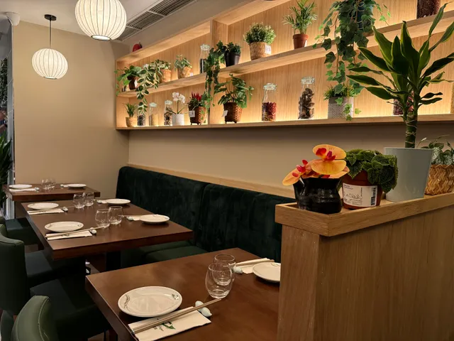 Tofu Vegan Charlotte Street