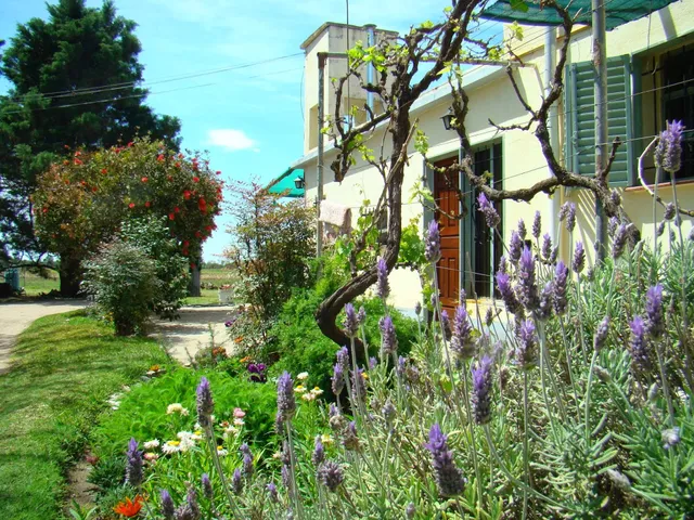 Rosel Turismo Rural Enológico