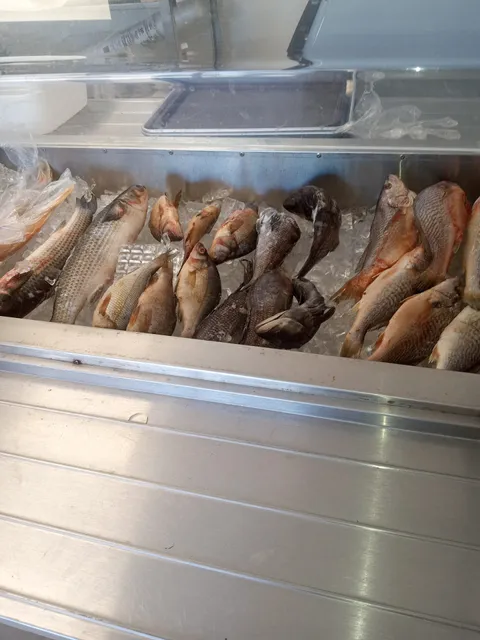 Fresh Fish Market