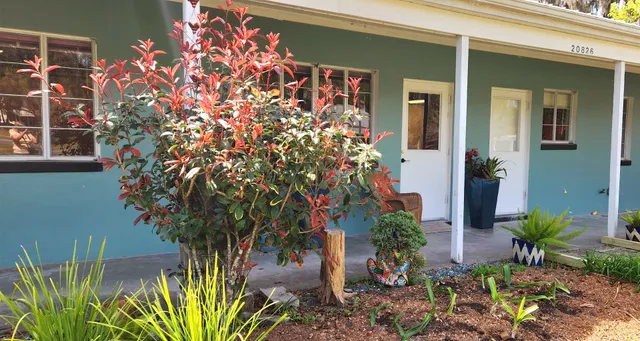 Rainbow Springs Art, Inc