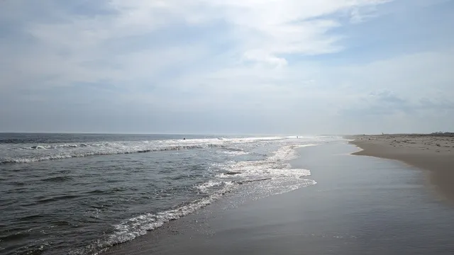 Cupsogue Beach County Park