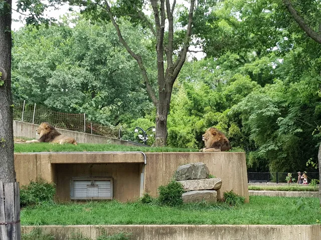 Great Cats Exhibit/Lion and Tiger Hill