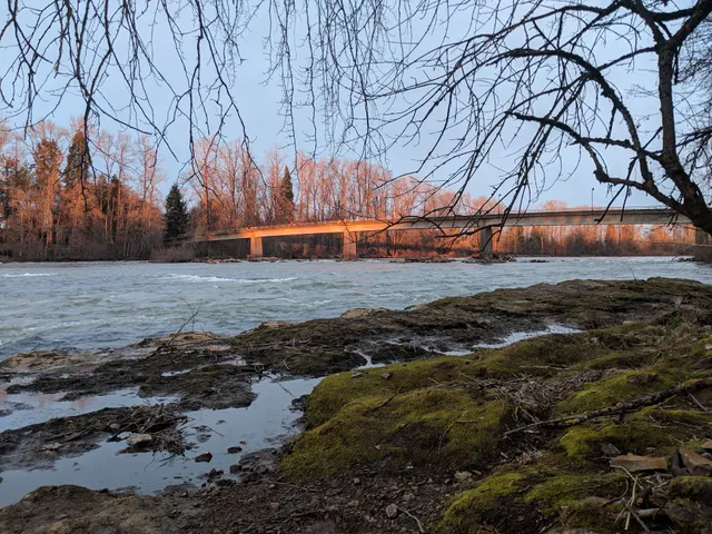 Dave and Lynn Frohnmayer Bridge