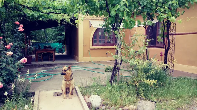 Casa Rural entre Bodegas y Viñedos