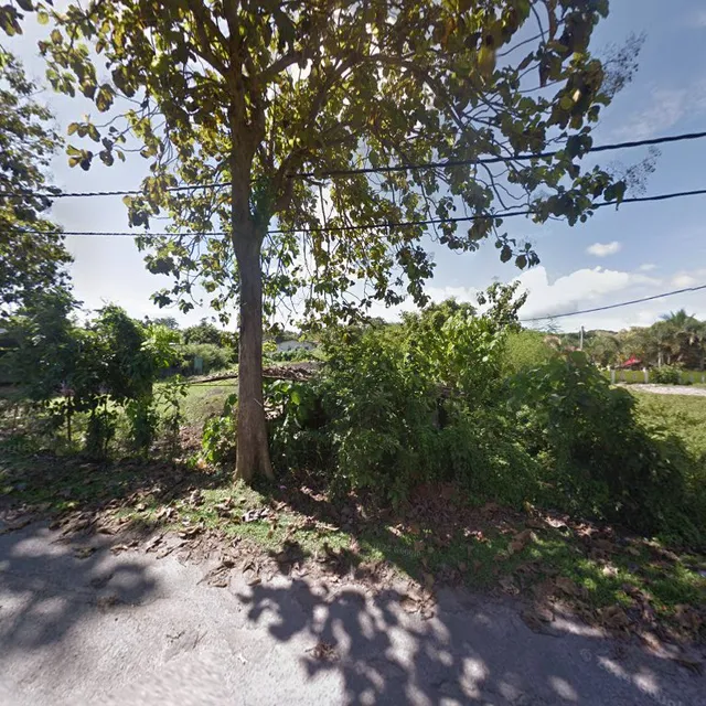 Homestay Kg Bukit Kemboja