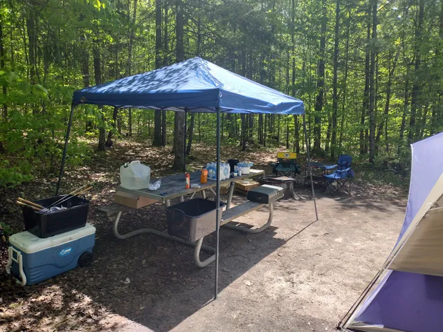 Council Lake Dispersed Campsite