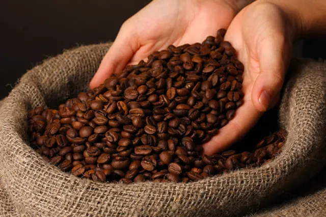 Sirness Coffee Services