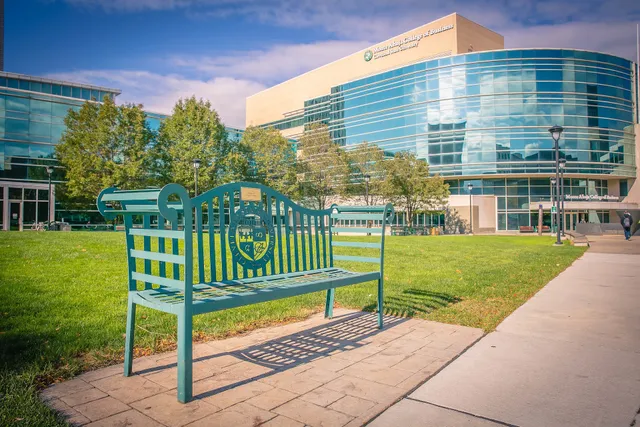 Monte Ahuja College of Business